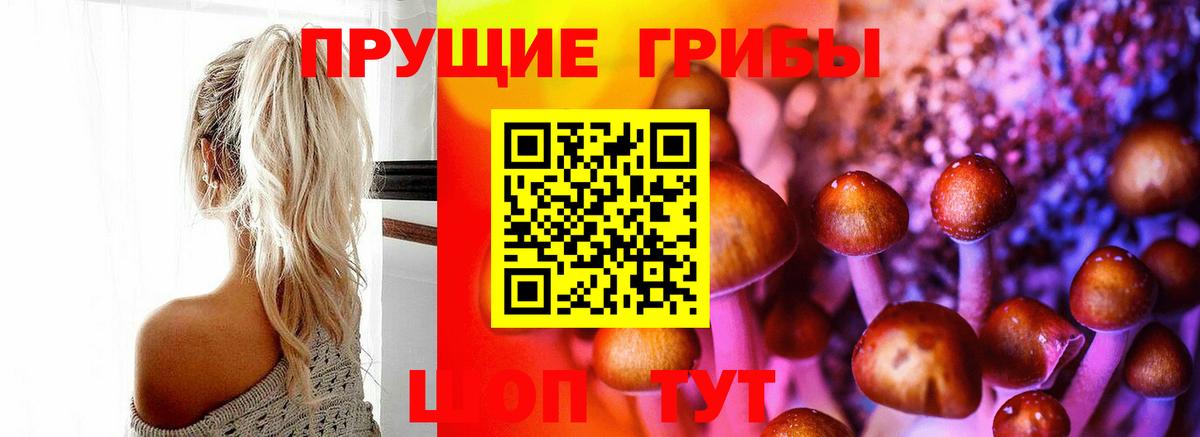 Псилоцибиновые грибы MAGIC MUSHROOMS Армавир