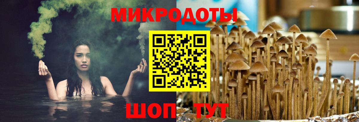 Псилоцибиновые грибы мицелий  даркнет сайт  Вход с VPN  Армавир  Галлюциногенные грибы GOLDEN TEACHER 